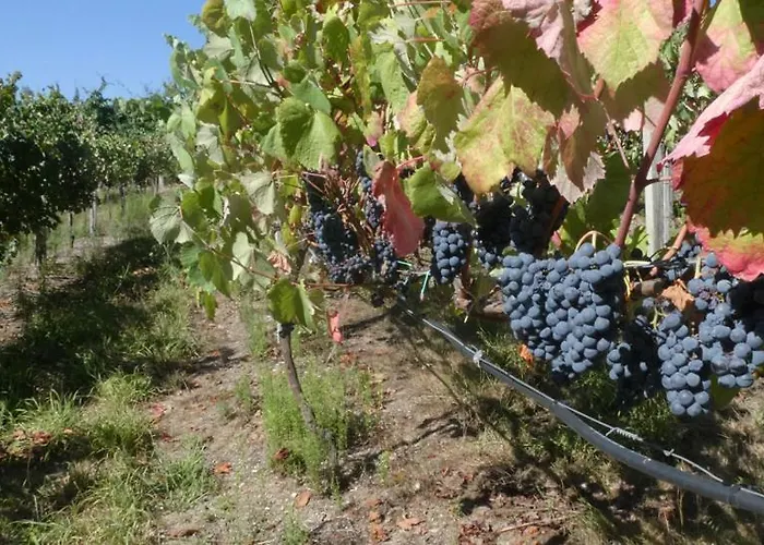 Devagar & Devagarinho Ferienhaus Fafe